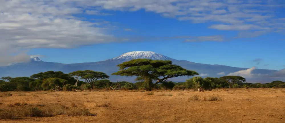 Mount Kilimanjaro seen at a distance over the African savanna